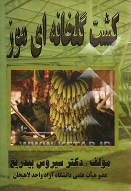 کشت گلخانه‌ای موز