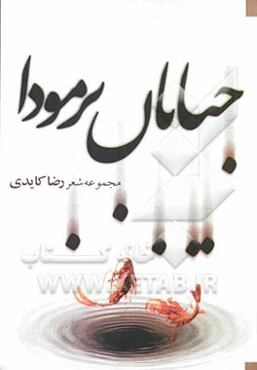 خیابان برمودا: مجموعه شعر