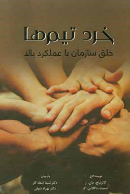 خرد تیم‌ها: خلق سازمان با رویکرد بالا