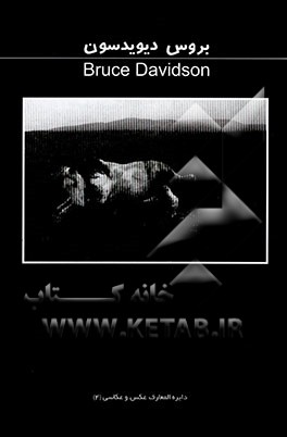 بروس دیویدسون