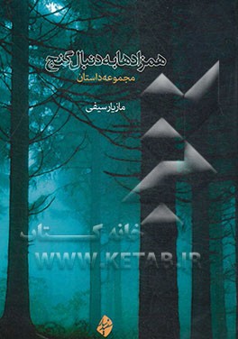 همزادها به دنبال گنج: مجموعه داستان