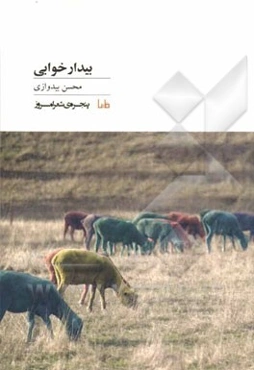 بیدارخوابی