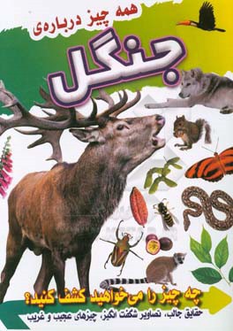 همه چیز درباره جنگل