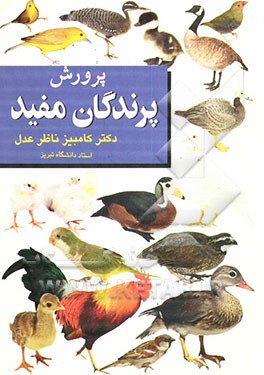 پرورش پرندگان مفید