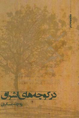 در کوچه‌های اشراق