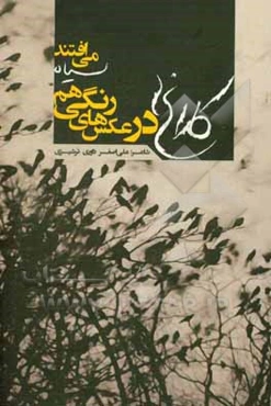 کلاغ‌ها در عکس‌های رنگی هم سیاه می‌افتند