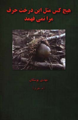 هیچکس مثل این درخت حرف مرا نمی‌فهمد!