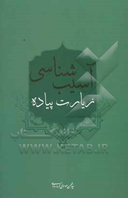 آسیب‌شناسی زیارت پیاده