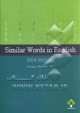 Similar words in English (604 words)