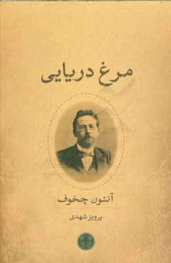 مرغ دریایی