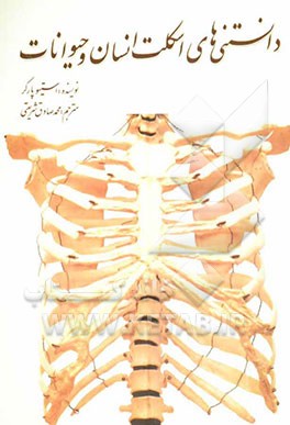 دانستنی‌های اسکلت انسان و حیوانات