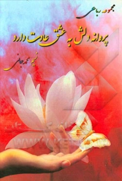 پروانه دلش به عشق عادت دارد!