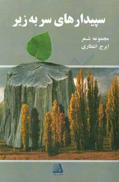 سپیدارهای سر‌به‌زیر