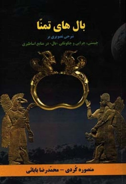 بال‌های تمنا: شرحی بر چیستی، چرایی و چگونگی