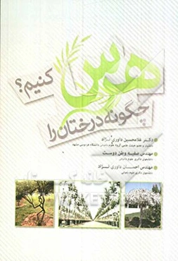 چگونه درختان را هرس کنیم؟