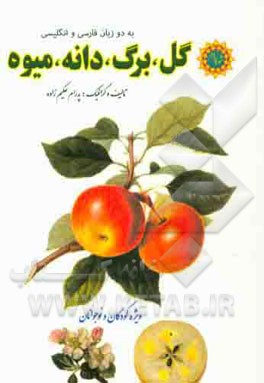 گل، برگ، دانه، میوه