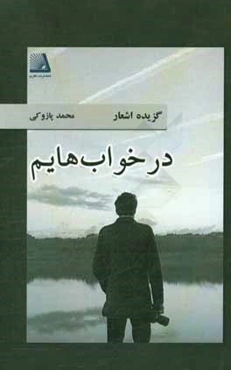 در خواب‌هایم