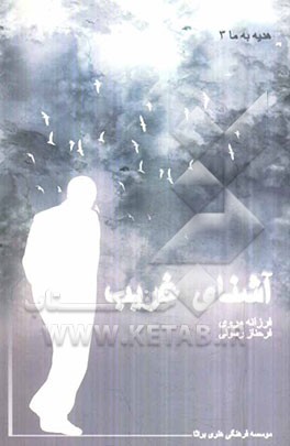 آشنای غریب: زندگی‌نامه شهید قهاری به رویات همسر