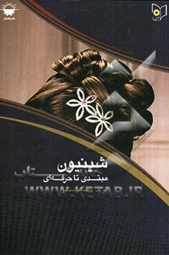 شنیون مبتدی تا حرفه‌ای 1