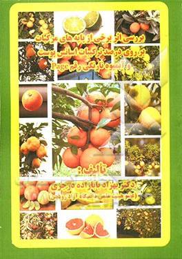 بررسی اثر برخی از پایه‌های مرکبات بر روی درصد ترکیبات اسانس پوست و آبمیوه نارنگی رقم Page