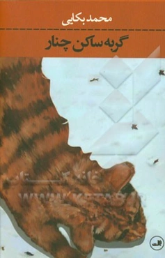 گربه ساکن چنار