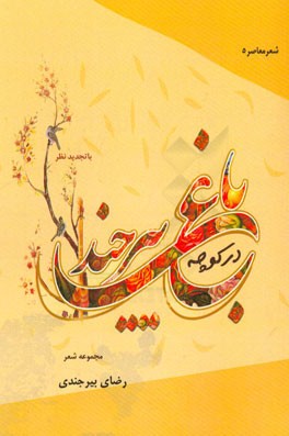 در کوچه باغ بیرجند
