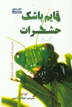 قایم باشک حشرات