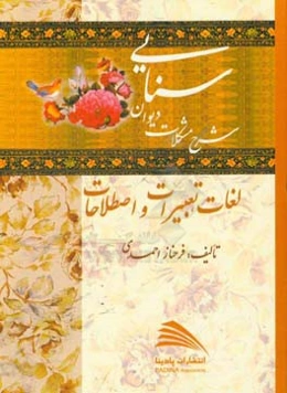 شرح مشکلات دیوان سنایی: (لغات، تعبیرات و اصطلاحات)