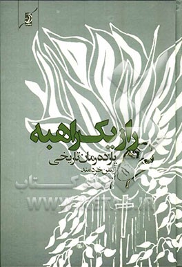 راز یک راهبه: یازده رمان تاریخی