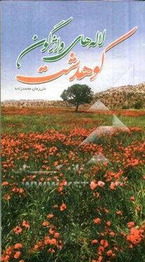 لاله‌های واژگون کوهدشت