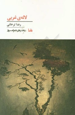 لاله‌ی غربی