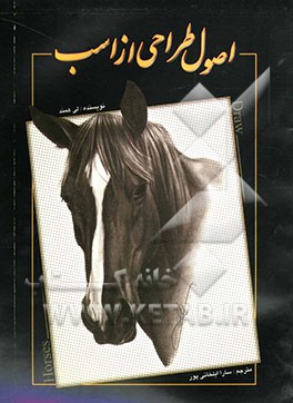 اصول طراحی از اسب