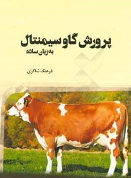 پرورش گاو سیمنتال به زبان ساده