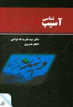 آسیب‌شناسی دینداری