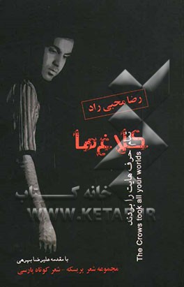 کلاغ‌ها حرف‌هایت را بردند= The crows took all your worlds