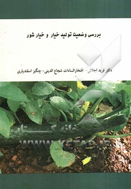 بررسی وضعیت تولید خیار و خیارشور