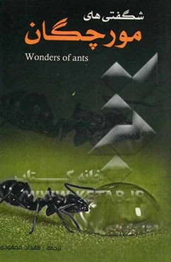 شگفتی‌های مورچگان
