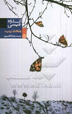 اندوه عیسی