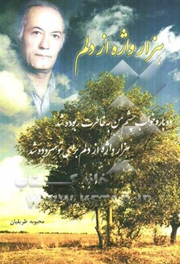 هزار واژه از دلم