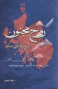 روح مجنون: شرح ده غزل از صائب