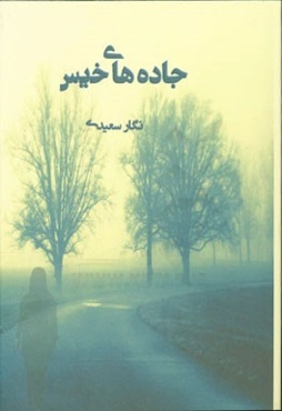 جاده‌های خیس