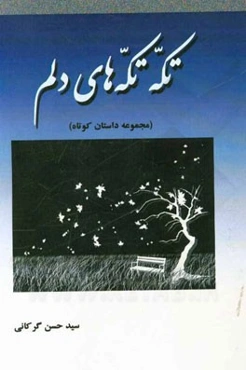 تکه تکه‌های دلم (مجموعه داستان کوتاه)