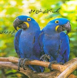 رنگ‌آمیزی انواع طوطی