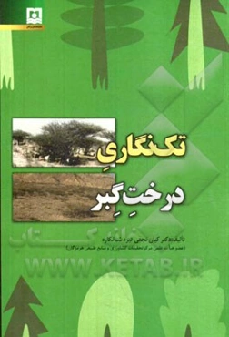 تک‌نگاری درخت گبر= Acacia tortilis (forssk.) hayne