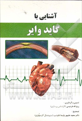 آشنایی با گاید وایر