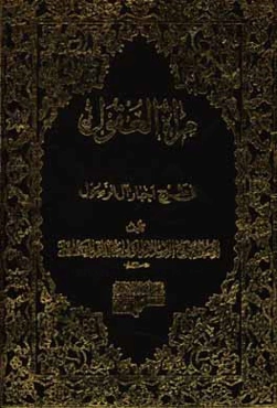 مراه العقول فی شرح اخبار آل الرسول