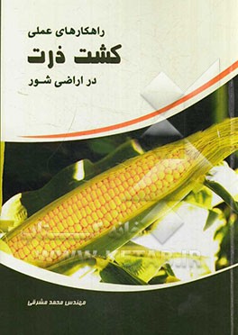 راهکارهای عملی کشت ذرت علوفه‌ای در اراضی شور