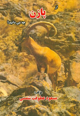 از پازن چه می‌دانید؟