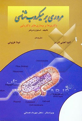 مروری بر میکروب‌شناسی: باکتری‌ها و بیماری‌های باکتریایی