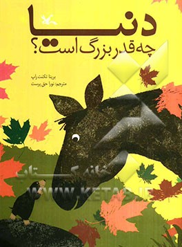 دنیا چه‌قدر بزرگ است؟